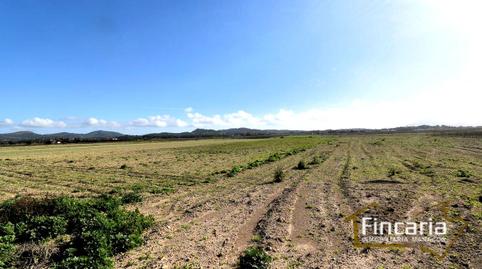 Photo 5 of Residential for sale in Camí de Son Nadal, Felanitx Poble, Illes Balears