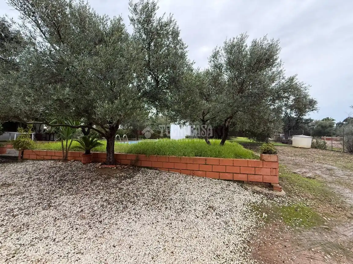 Finca rústica en venta en Los Eucaliptos, La Carlota