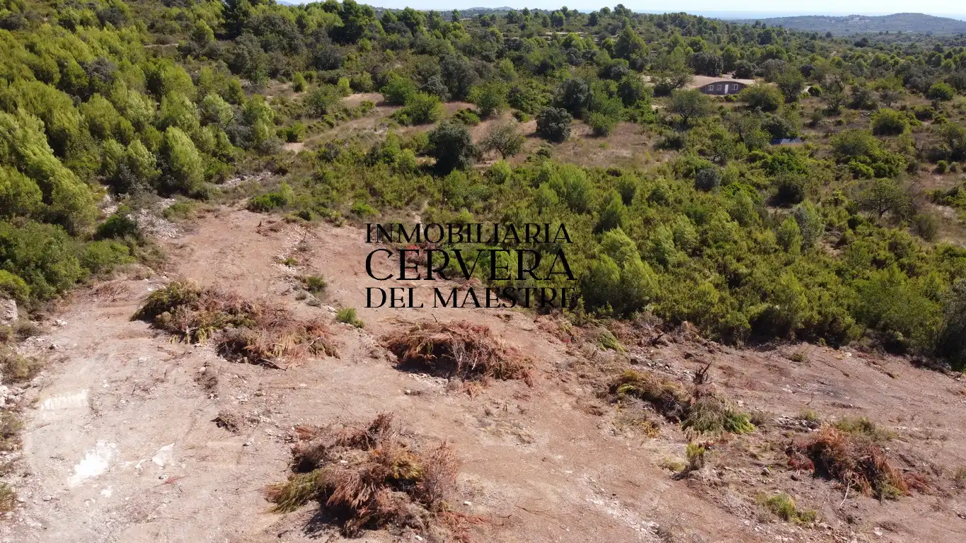 Terreno rustico in vendita a Cervera del Maestre, imagen 16