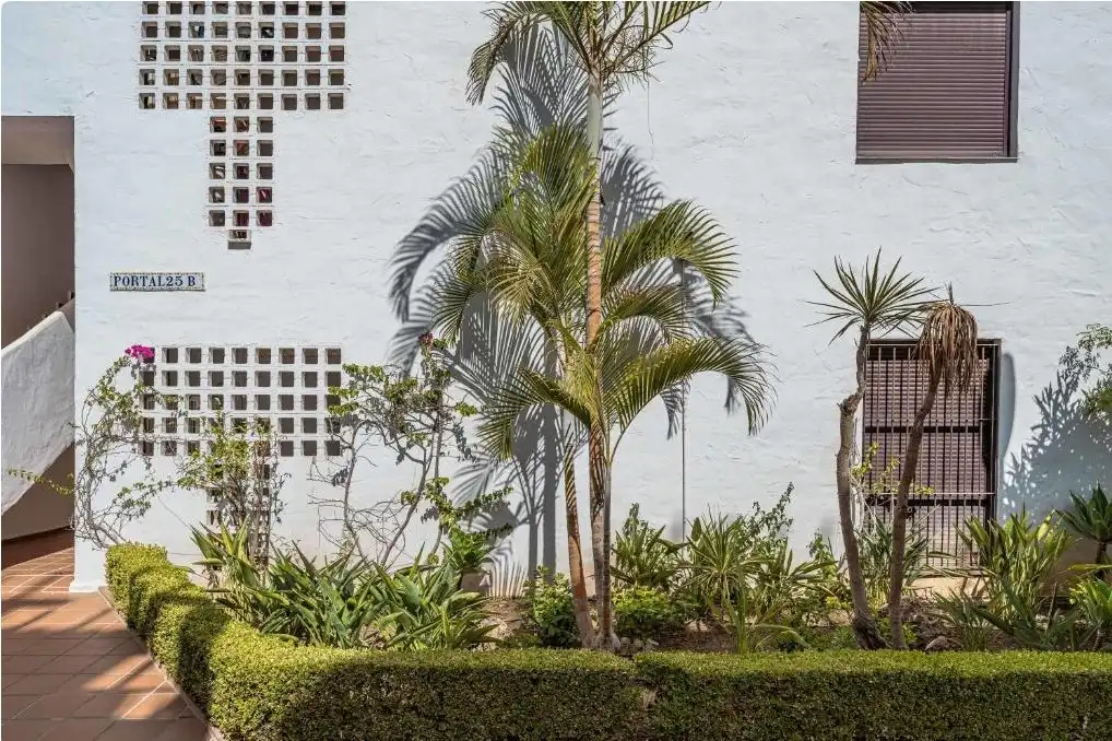 Apartment with terrace for sale in Calle las Ventas 1, imagen 26