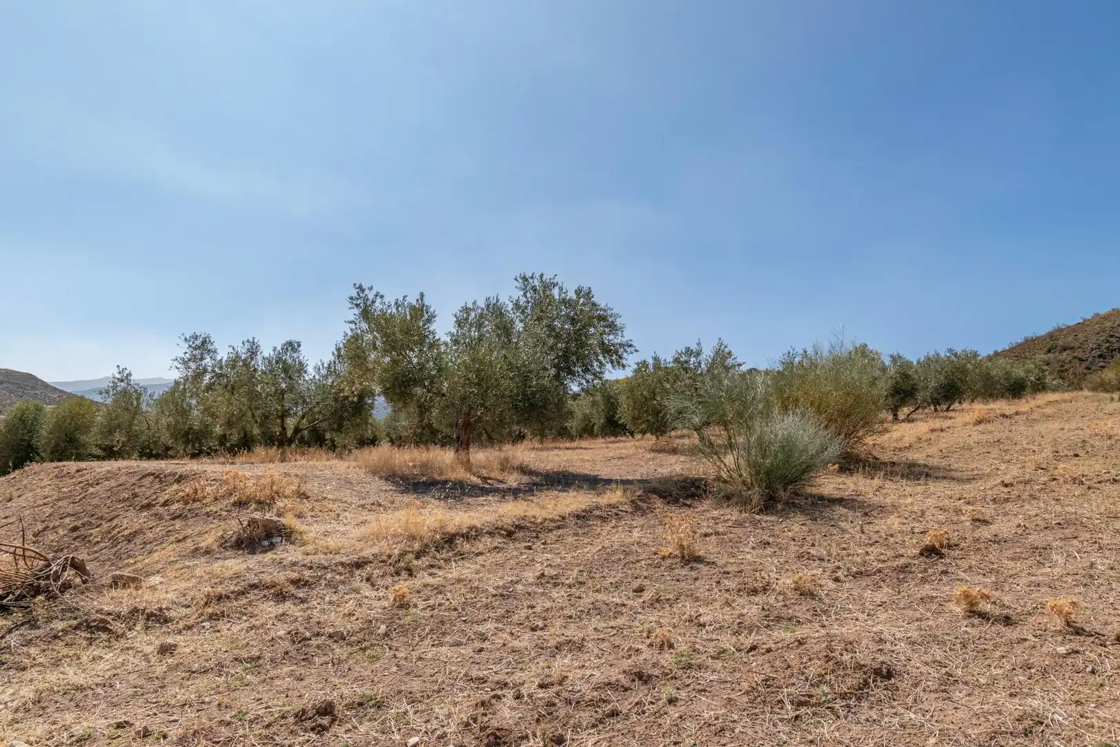 Finca rústica en venta en Vereda morollon, La Peza
