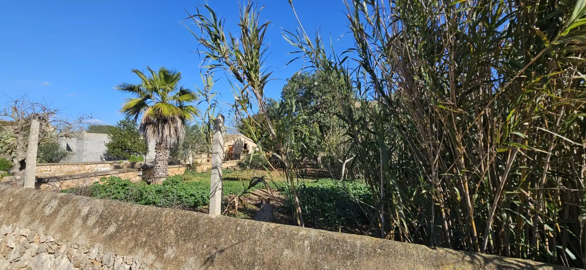 Terrenys i solars en venda a S'ESTACIO, imagen 2