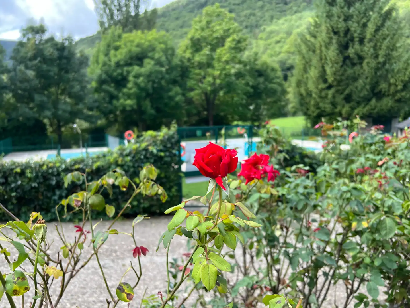 Jardín de Ático en venta en Biescas