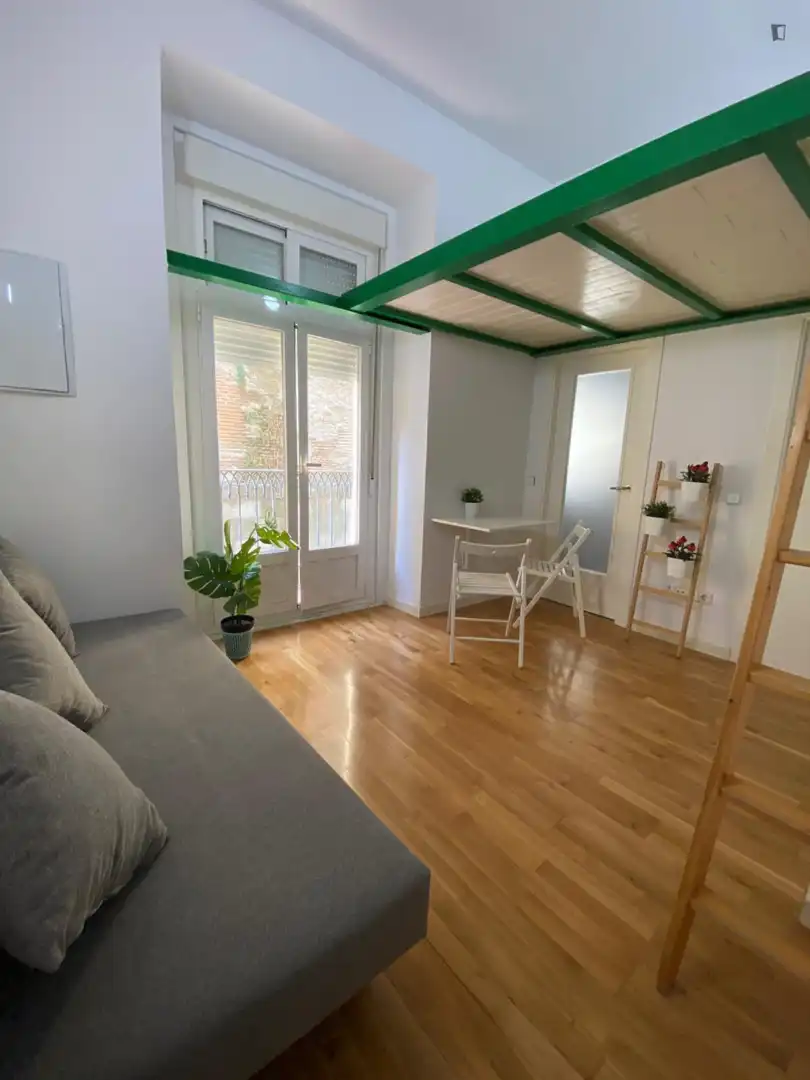 Estudio en alquiler en Centro, imagen 8