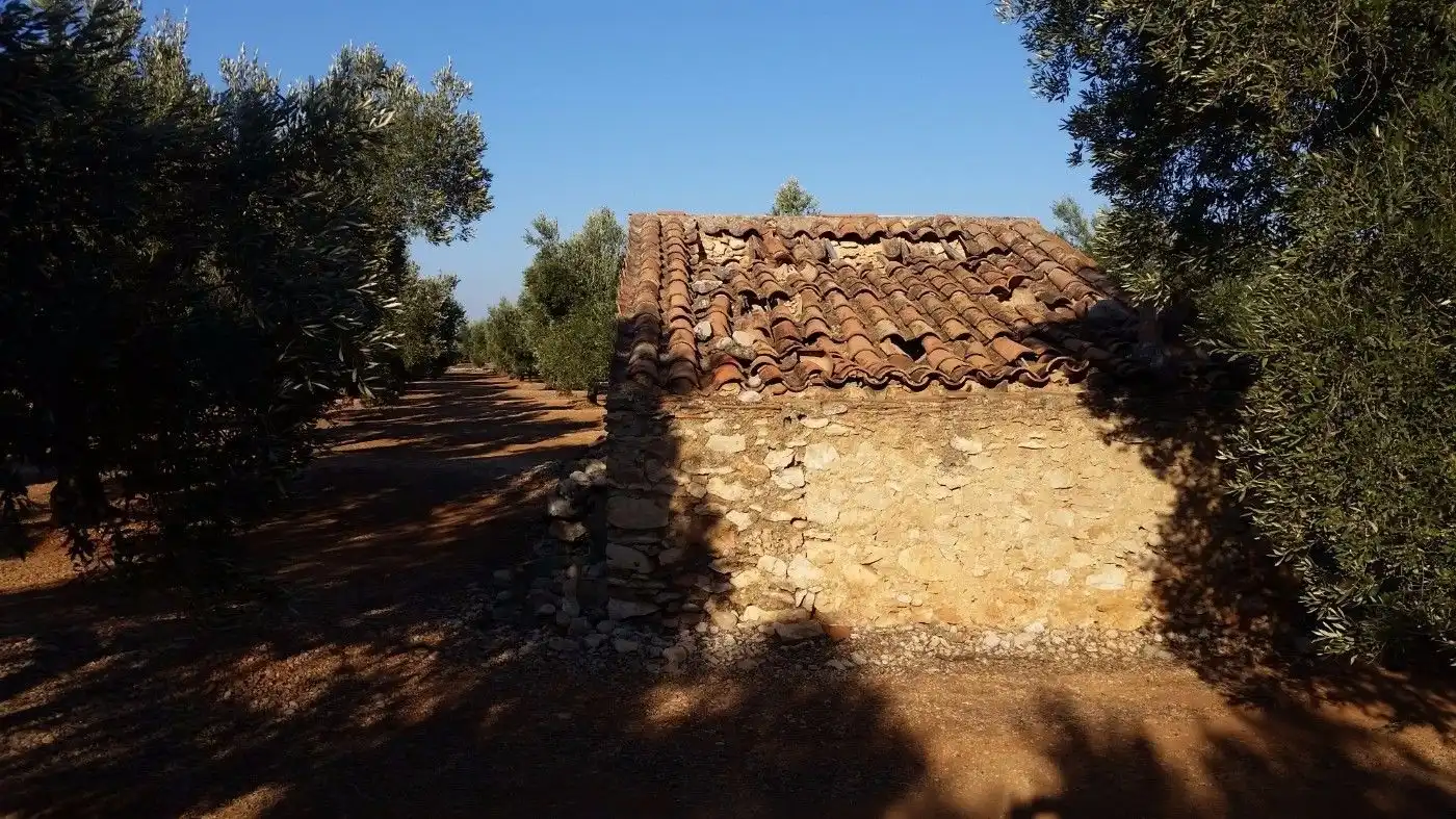 Vista exterior de Terreno en venta en Ulldecona