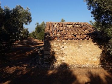 Terrain rustique à vendre à Camí Miliana 1