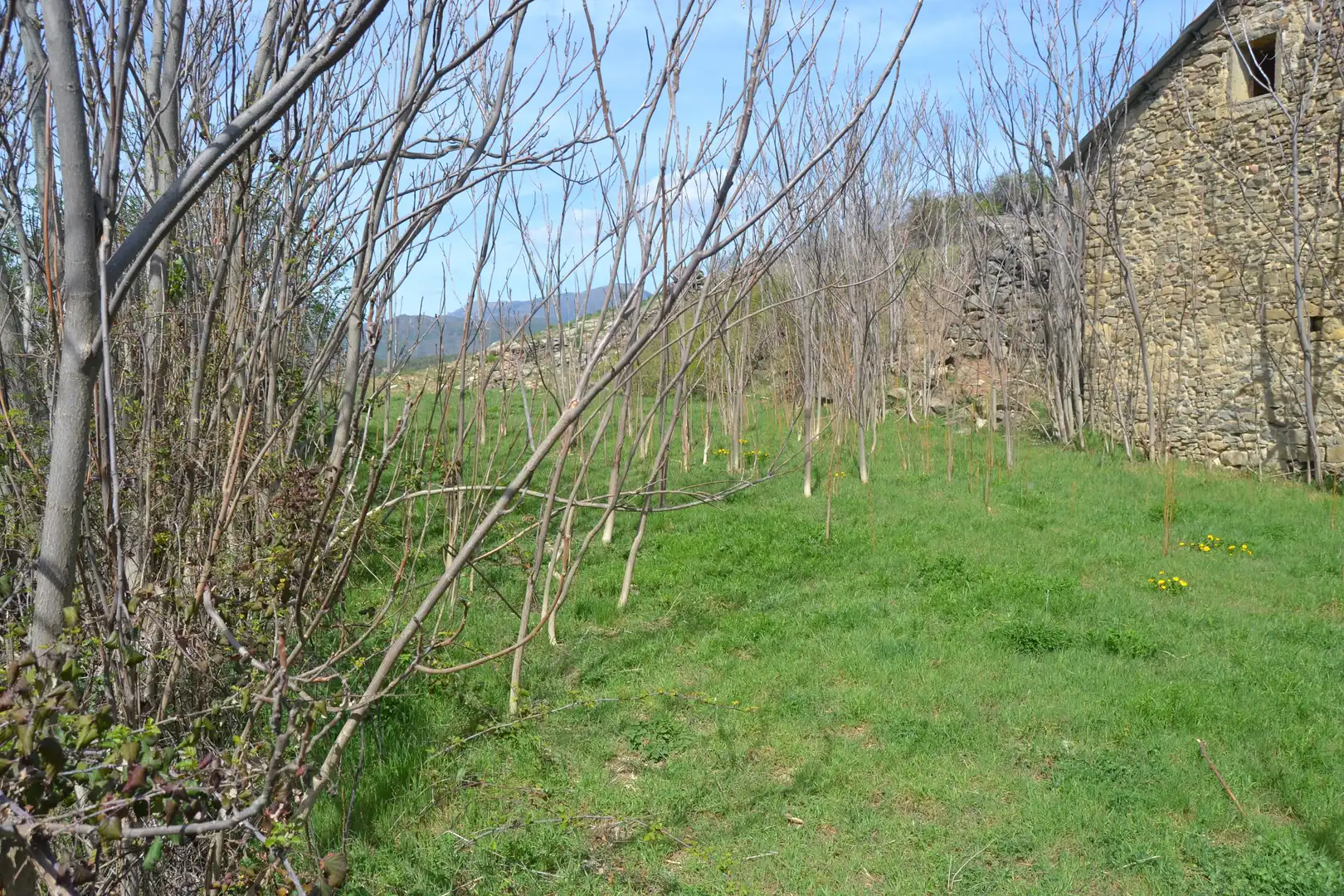 Country homes for sale in Sabiñánigo  with Private garden