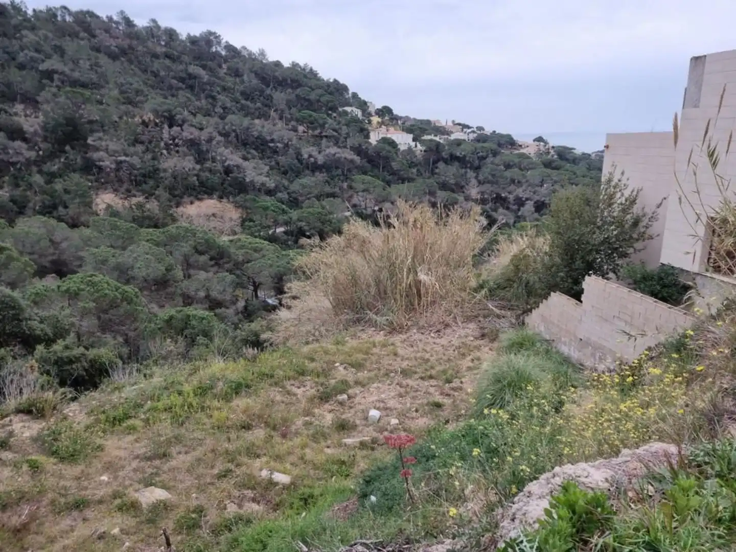 Terrenos y solares en venta en Serra Brava, imagen 15
