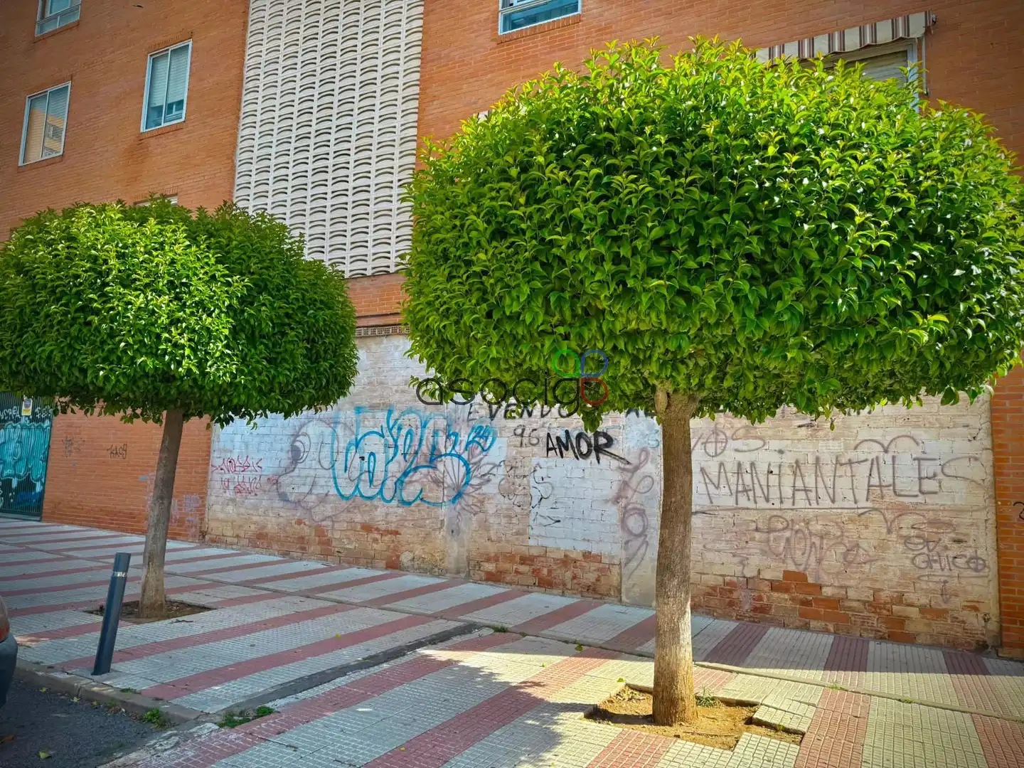 Local comercial en venta en Solan de Cabras, imagen 4