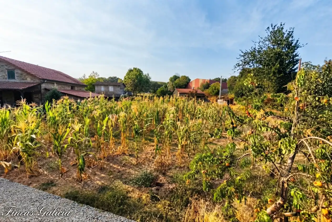 House with terrace for sale in Castrelo do Val, imagen 18