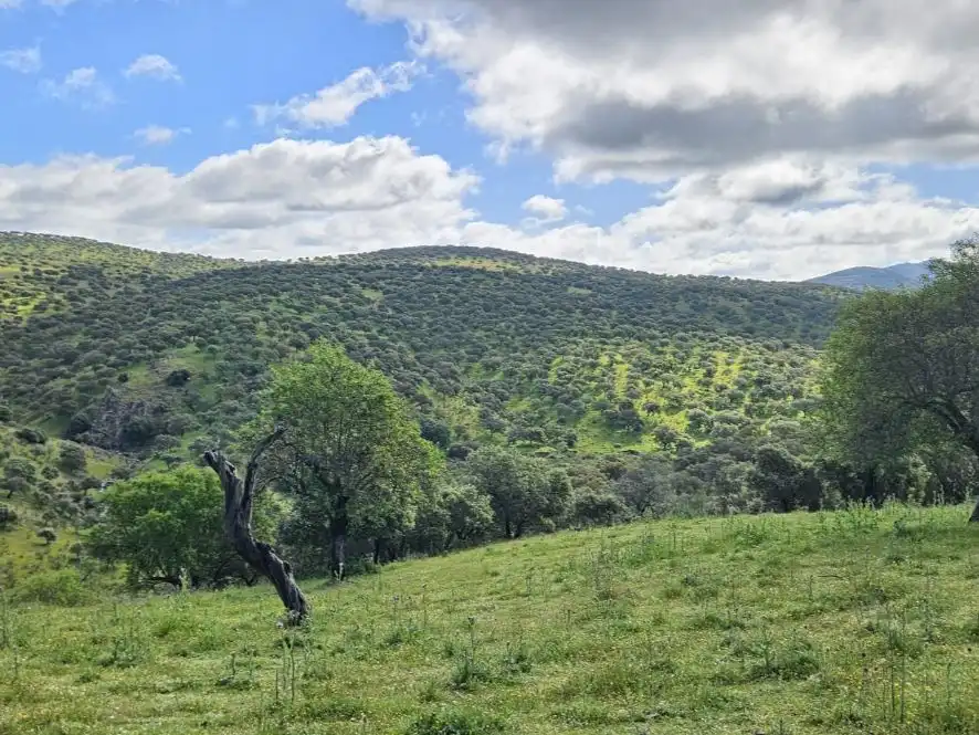 Terreno rustico in vendita a BA-135 107, imagen 2