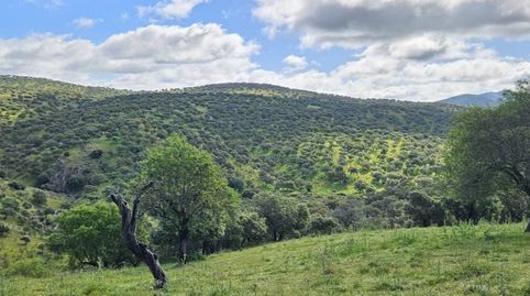 Finca rústica en Siruela, immagine 2