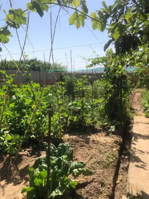House for sale in Tarazona, imagen 8