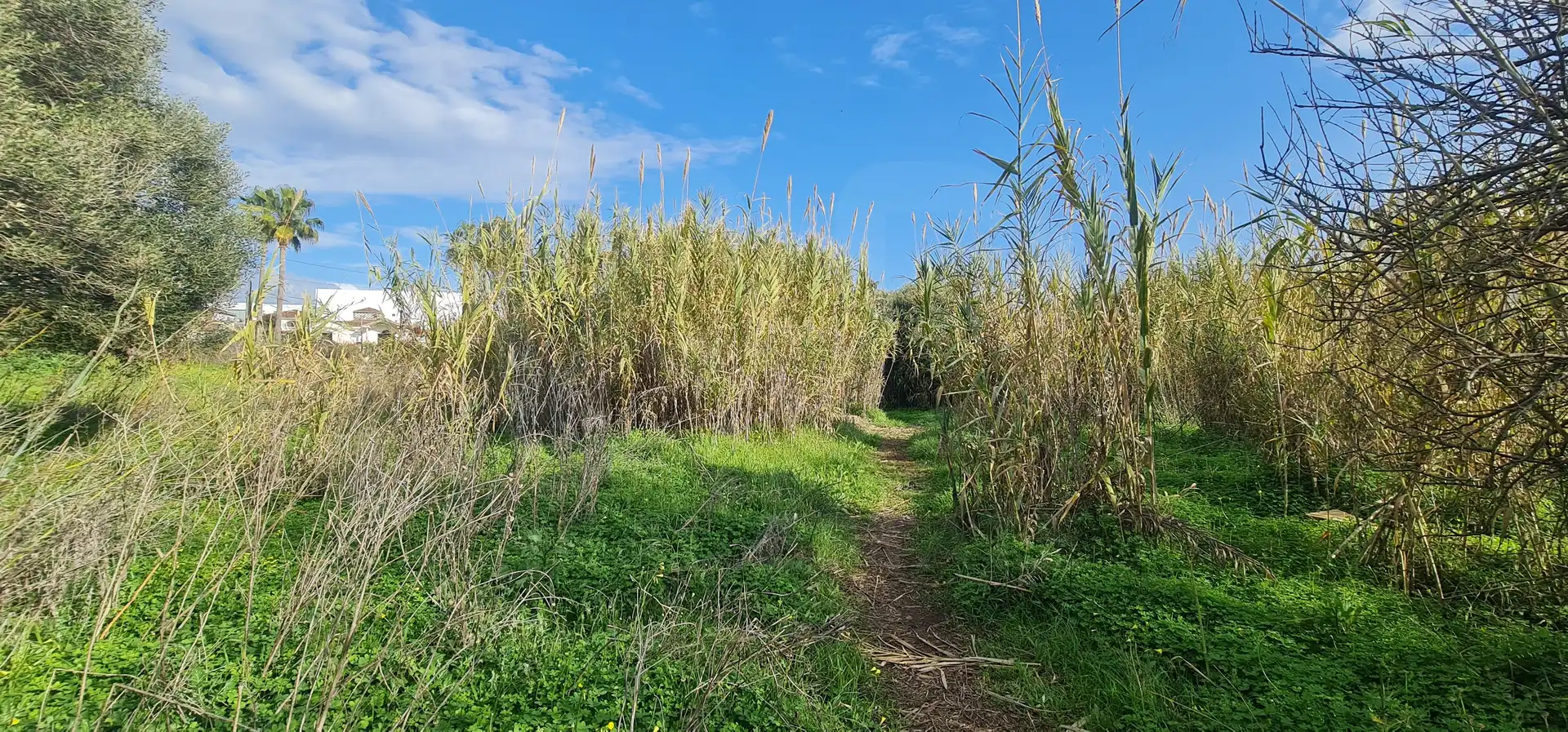 Terreno residencial en venta en Campo de Mijas, imagen 6