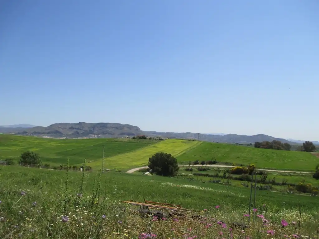Xalet amb jardí en venda a Coín, imagen 18