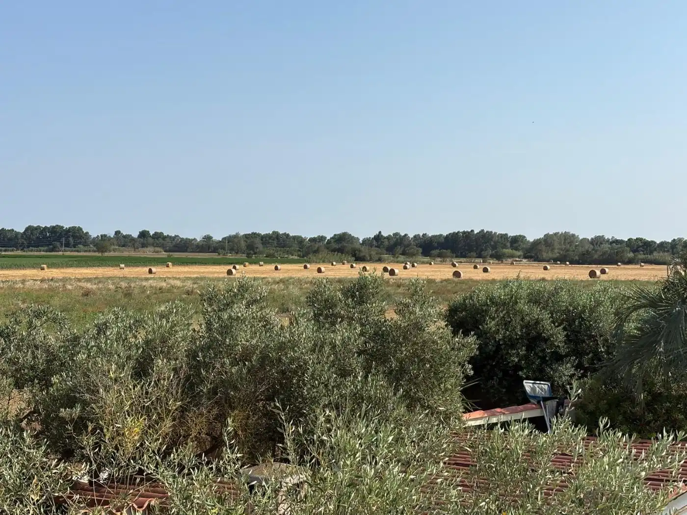 Casa o xalet en venda en Castelló d'Empúries amb Aire condicionat, Calefacció i Jardí privat
