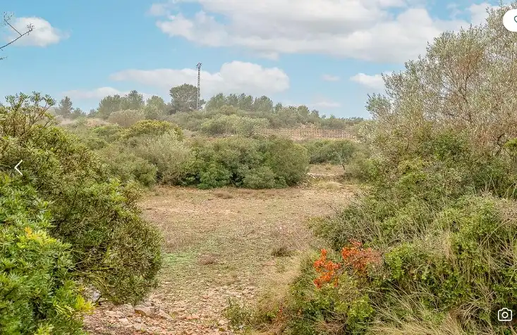 Terreno rustico in vendita a Cheste
