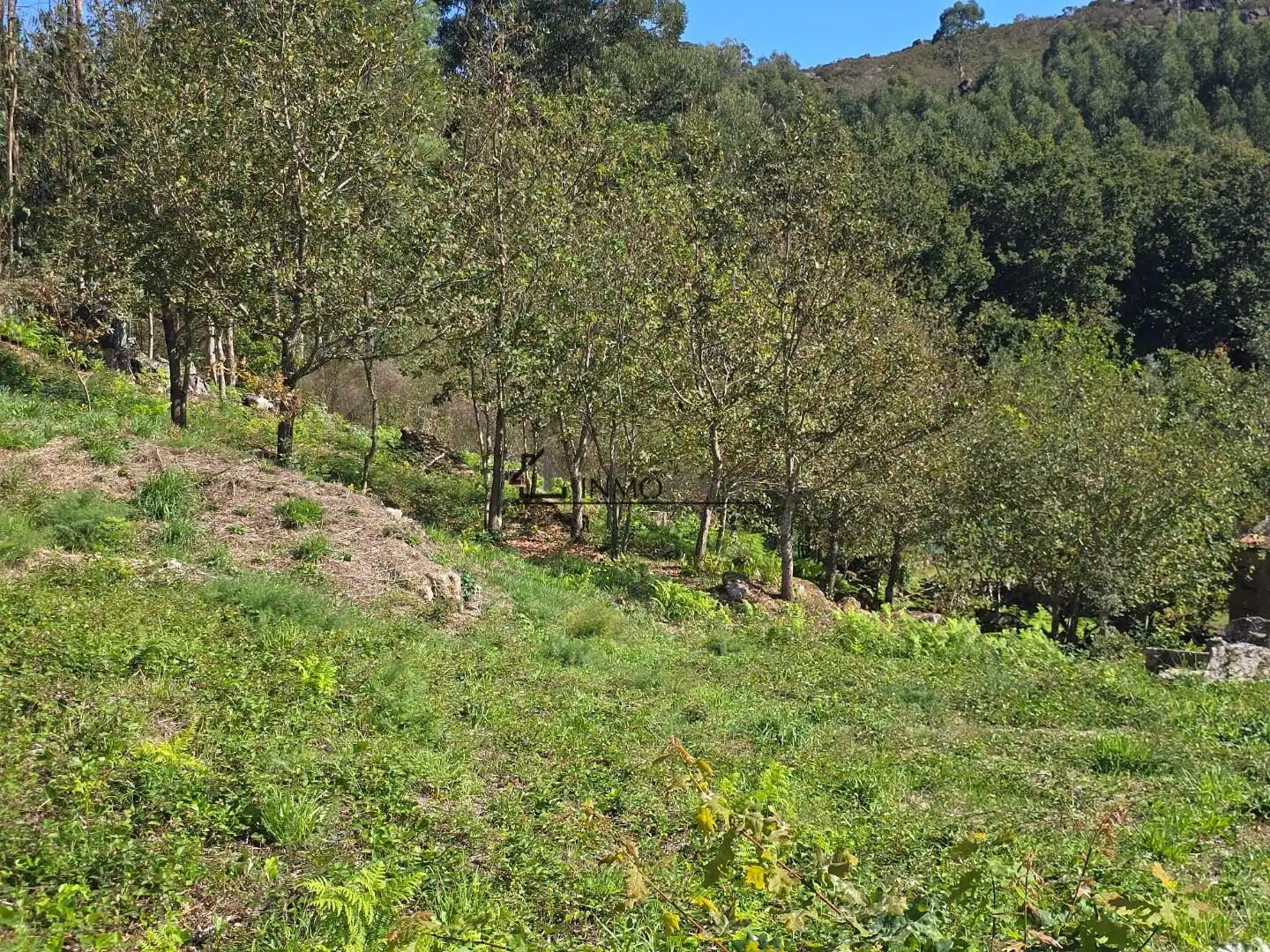 Terrenys i solars en venda a Cotobade, imagen 6