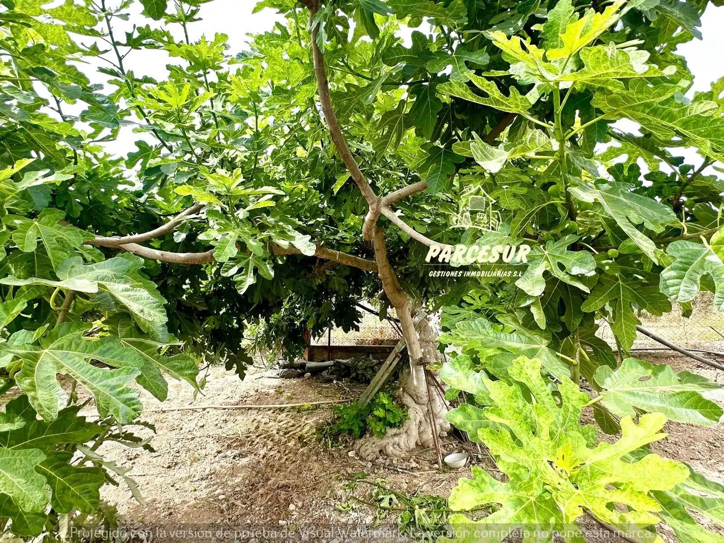 Casa o xalet en venda en Córdoba amb Aire condicionat, Calefacció i Jardí privat