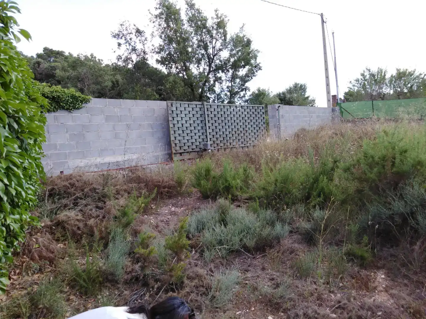 Terreno en venta en Pontils