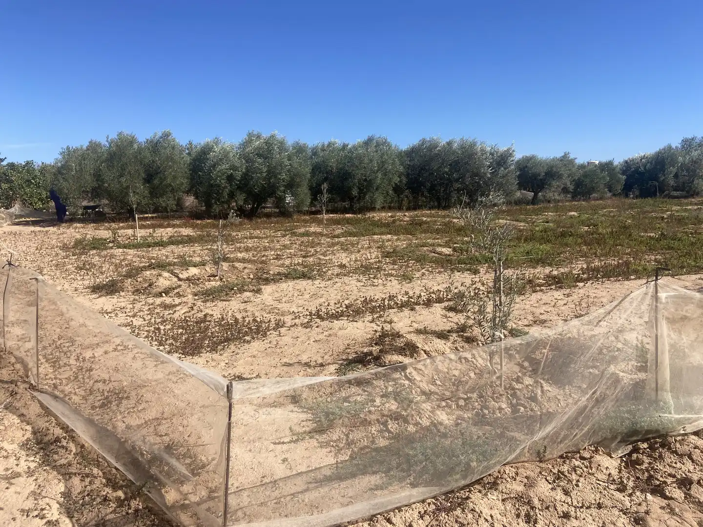 Land for sale in Cartagena