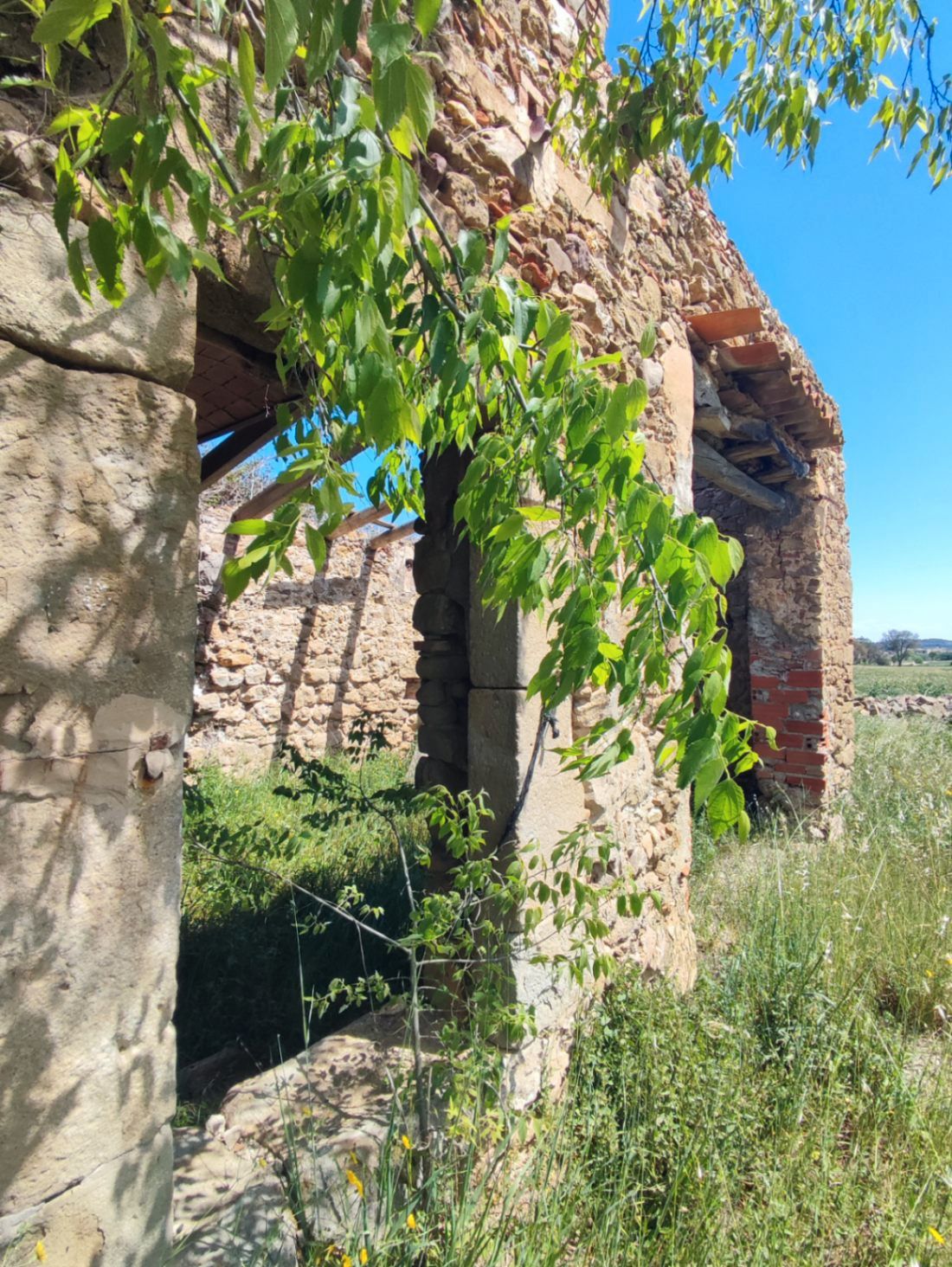 Vista exterior de Finca rústica en venta en Corçà