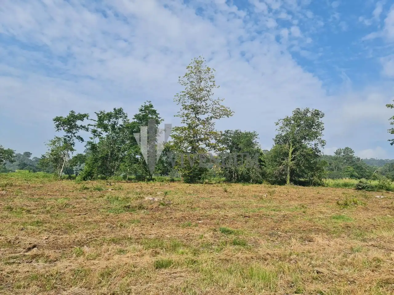 Residential land for sale in Tomiño, imagen 12