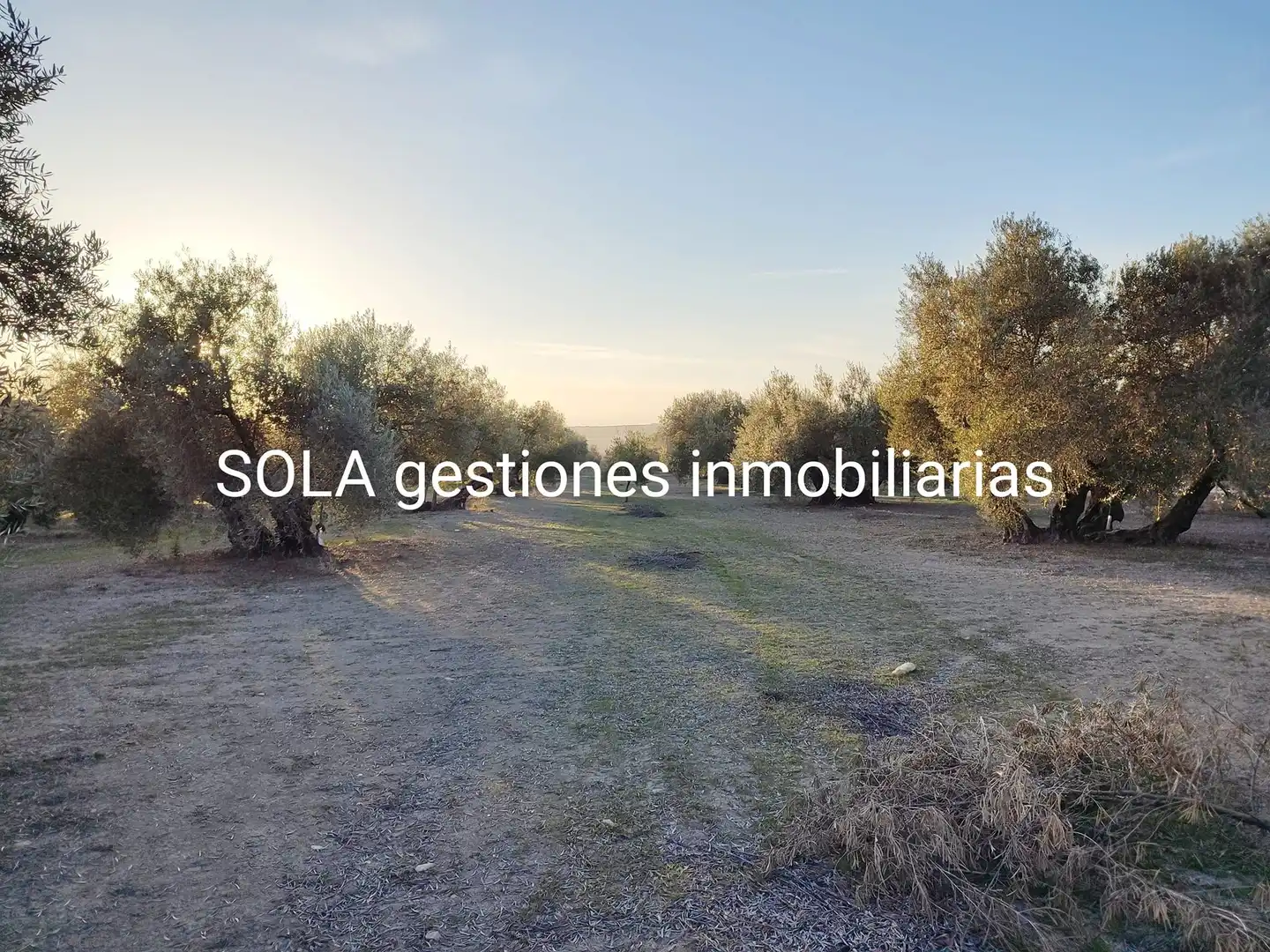 Terrenos y solares en venta en Úbeda