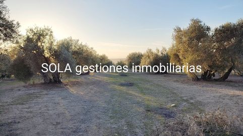 Imatge 1 de l'anunci