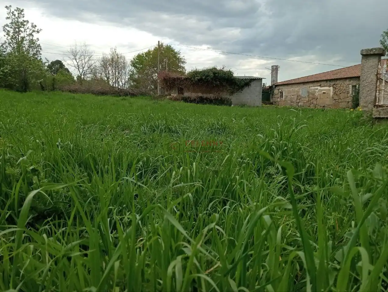 Casa amb jardí en venda a O Pereiro de Aguiar, imagen 30