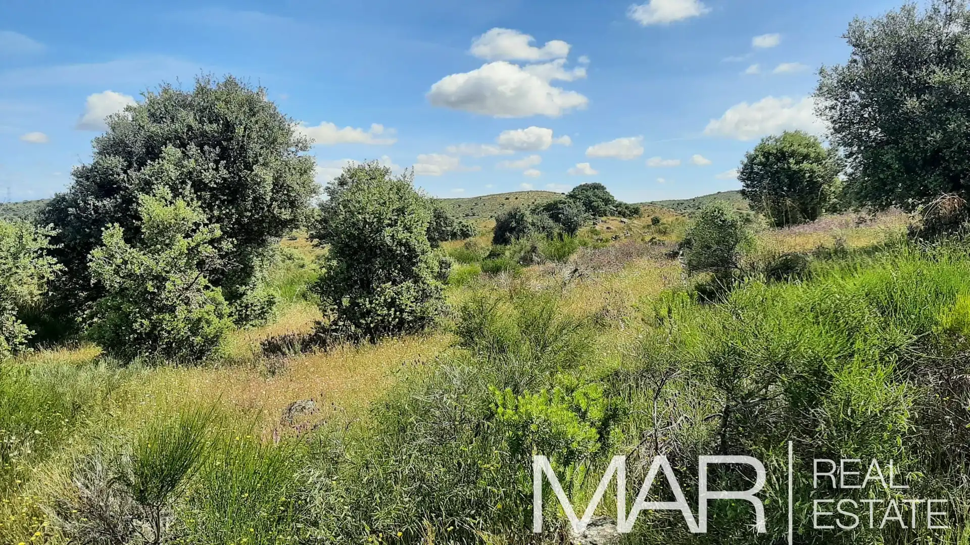 Terreni e lotti in vendita a Villar del Pedroso, imagen 12