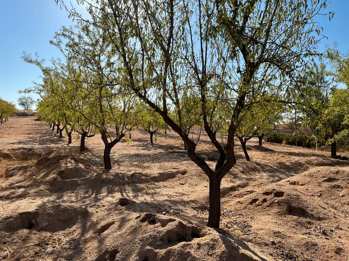 Garden of Houses for sale in Camuñas