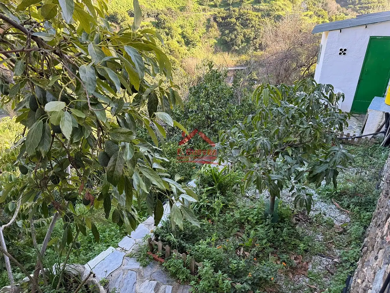 Garden of Country homes for sale in Sayalonga  with Air Conditioner, Heating and Terrace