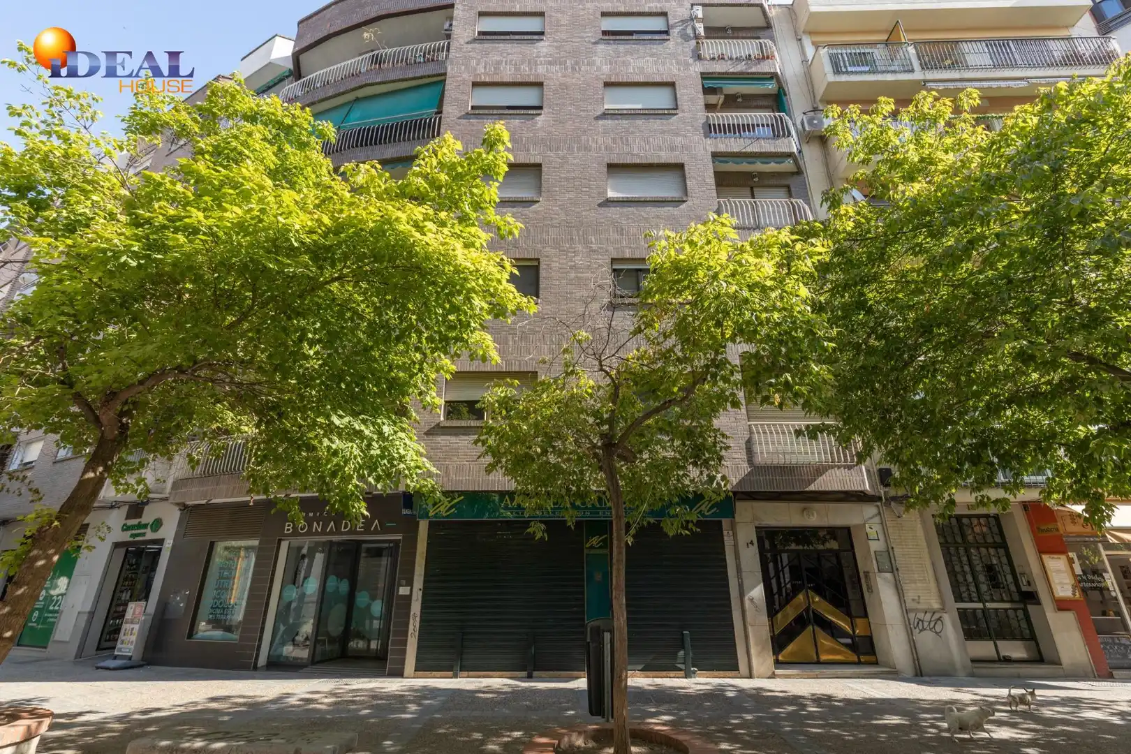 Flat with terrace for sale in Ronda, imagen 48
