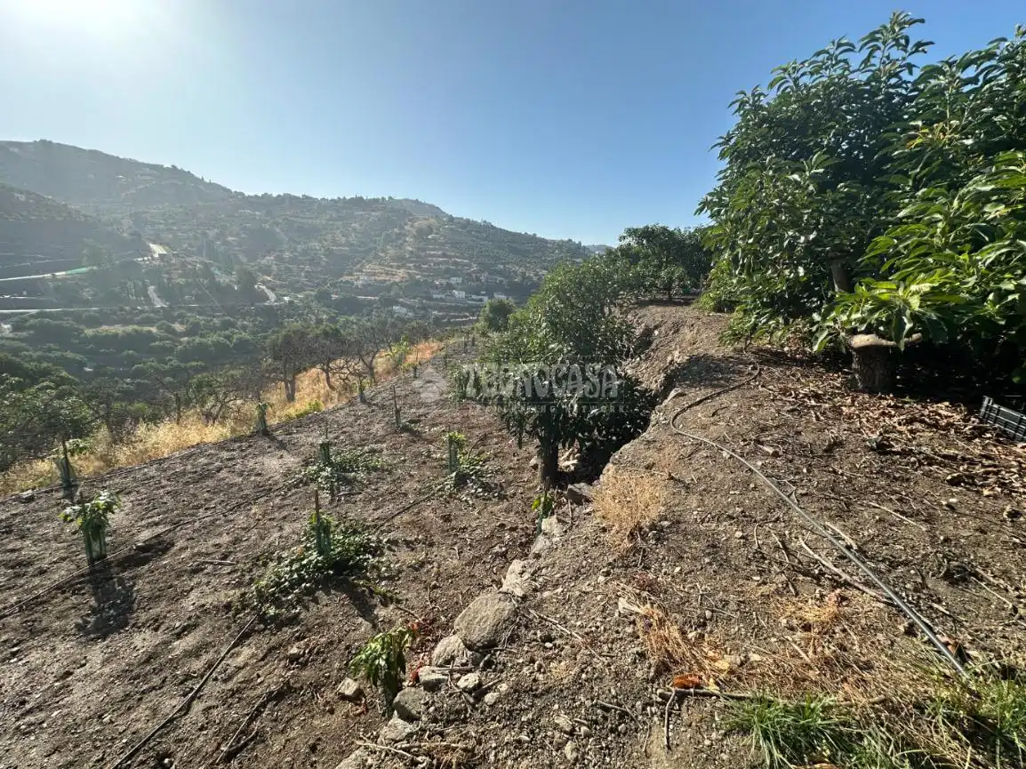 Terreni e lotti in vendita a Torrox Pueblo, imagen 8
