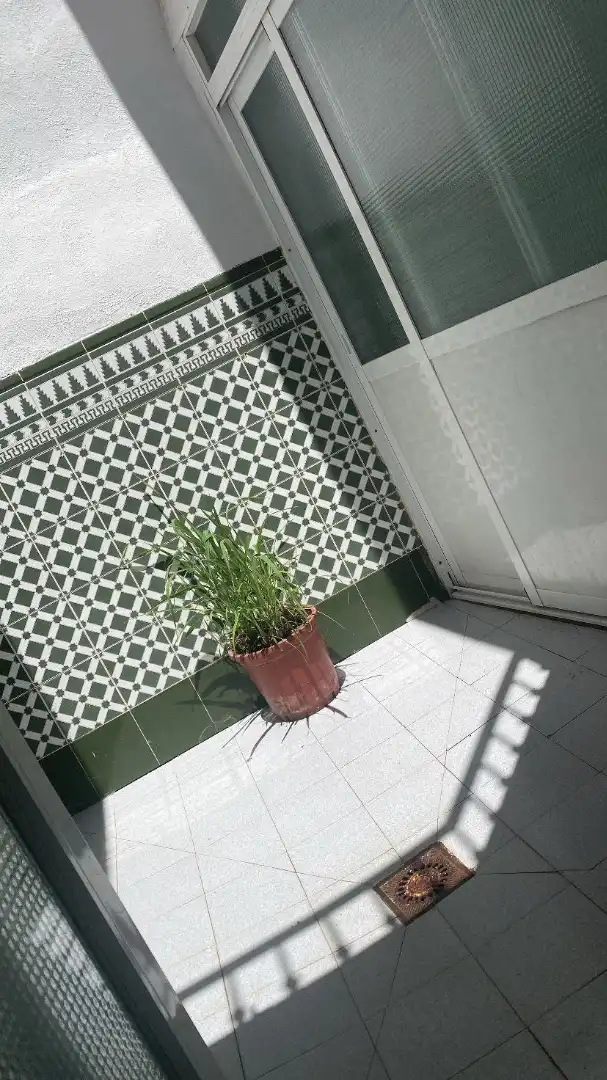 Garden of Houses for share in Jaén  with Air Conditioner, Private garden and Terrace