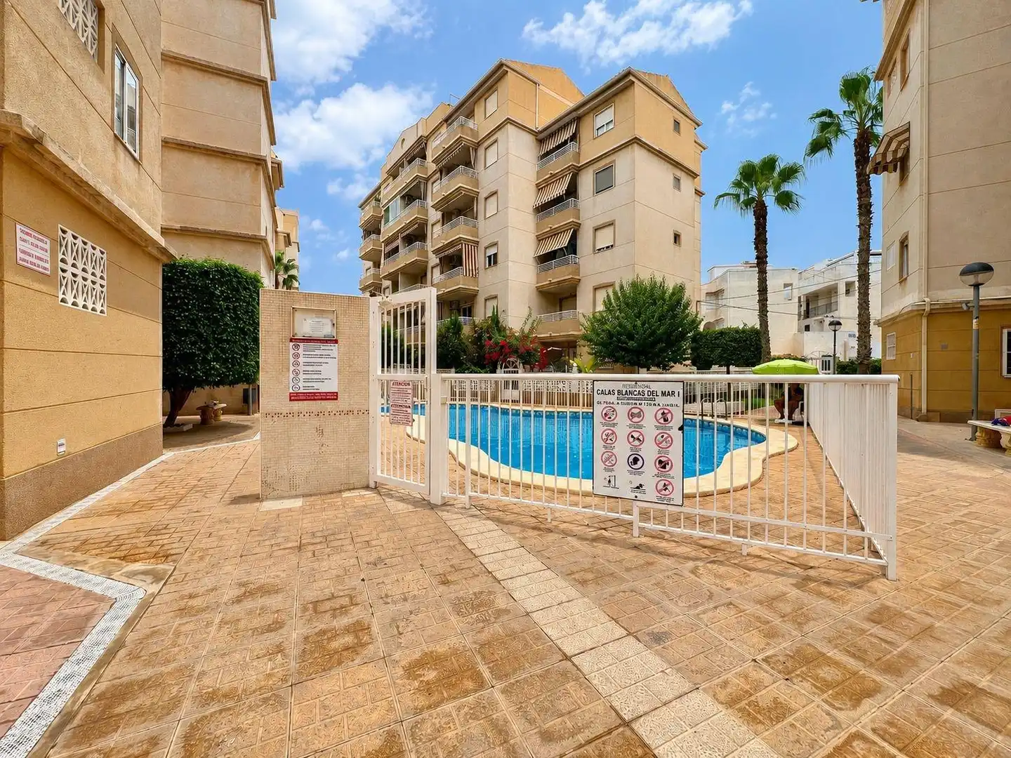 Baixos amb piscina en venda a Calle MANUEL GALIAN (MANOLIN), imagen 6