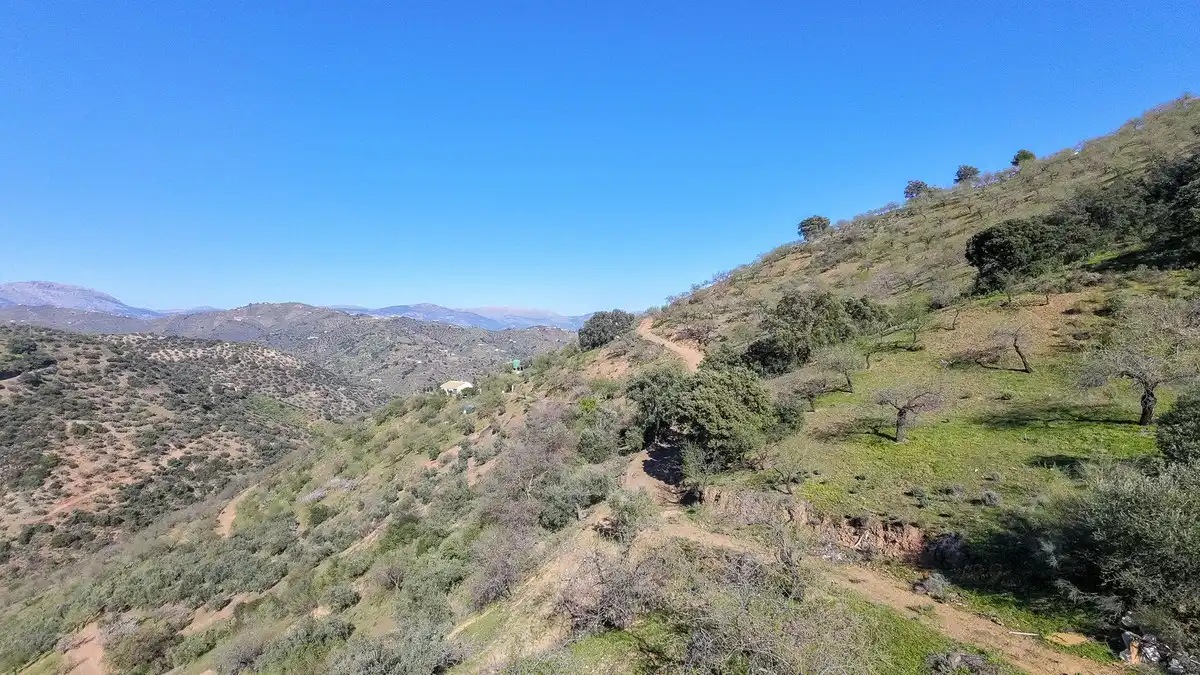 Terrenos y solares en venta en Este, imagen 8