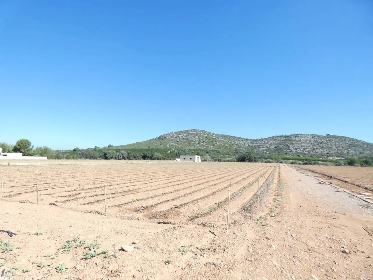 Rural land for sale in Calle PARTIDA PUIG POL 3, imagen 2