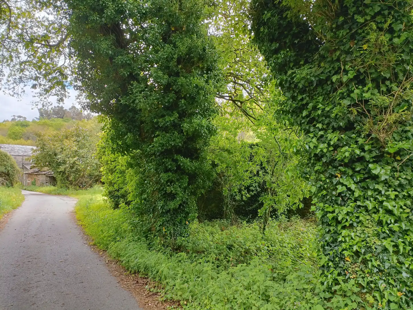 Casa o xalet en venda en Aranga amb Jardí privat i Traster