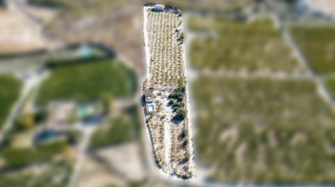 Foto 2 de Finca rústica en venta en Cieza, Murcia