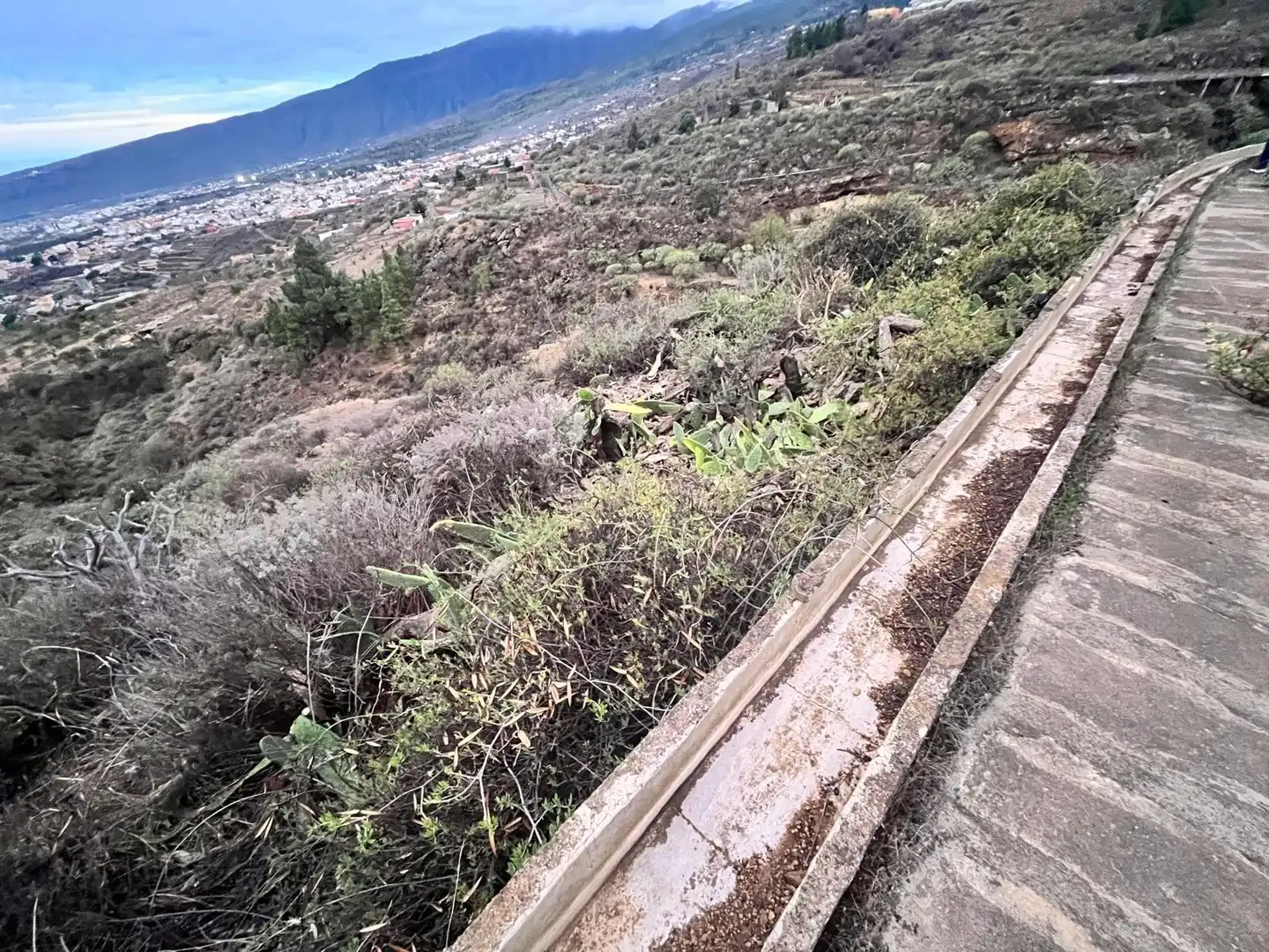 Rural land for sale in Camino Camino de los Barranquillos, imagen 5