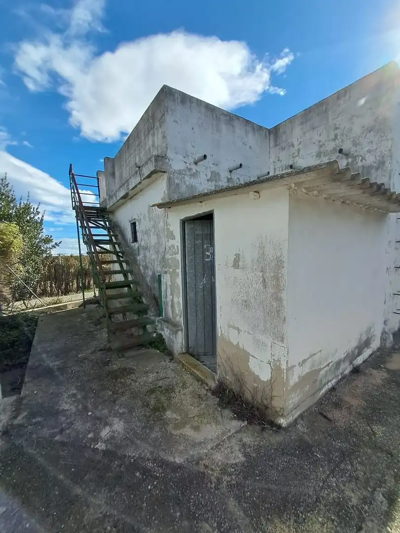 Vista exterior de Finca rústica en venta en Sollana con Trastero y Piscina