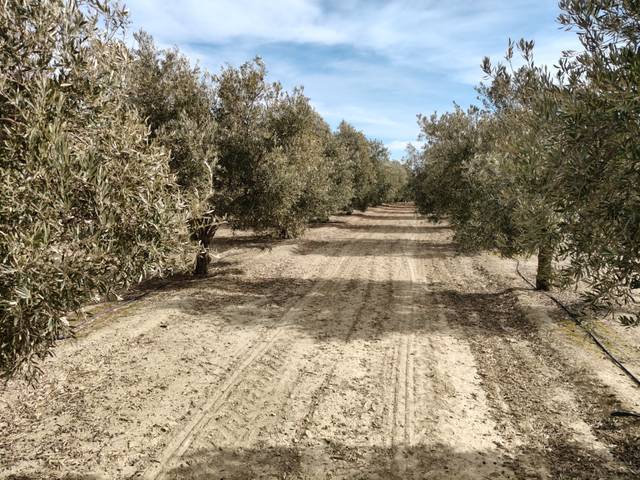 Terreno en Venta en N/A, -1 en Caniles