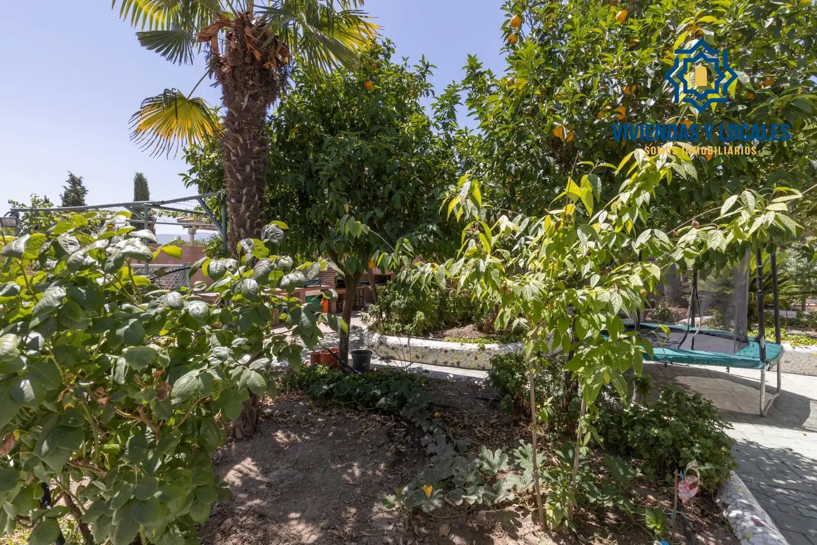 House with pool for sale in San Francisco - Chorillo, imagen 82