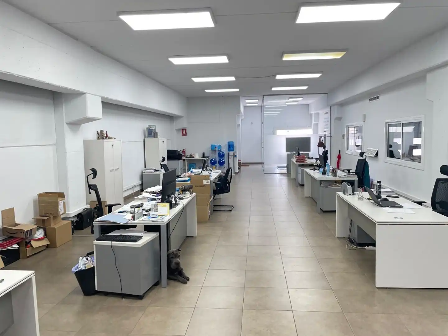 Büro mit Aufzug zur Miete in Colom 453, imagen 5