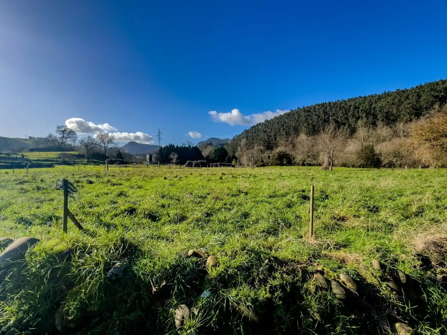 Land for sale in Castañeda