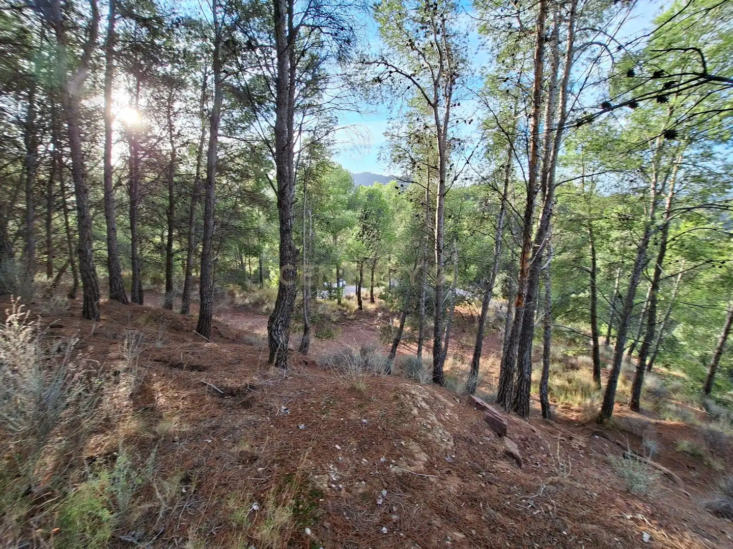 Wohnbaugrundstück zum Verkauf in 46118 Serra, Spain, imagen 16