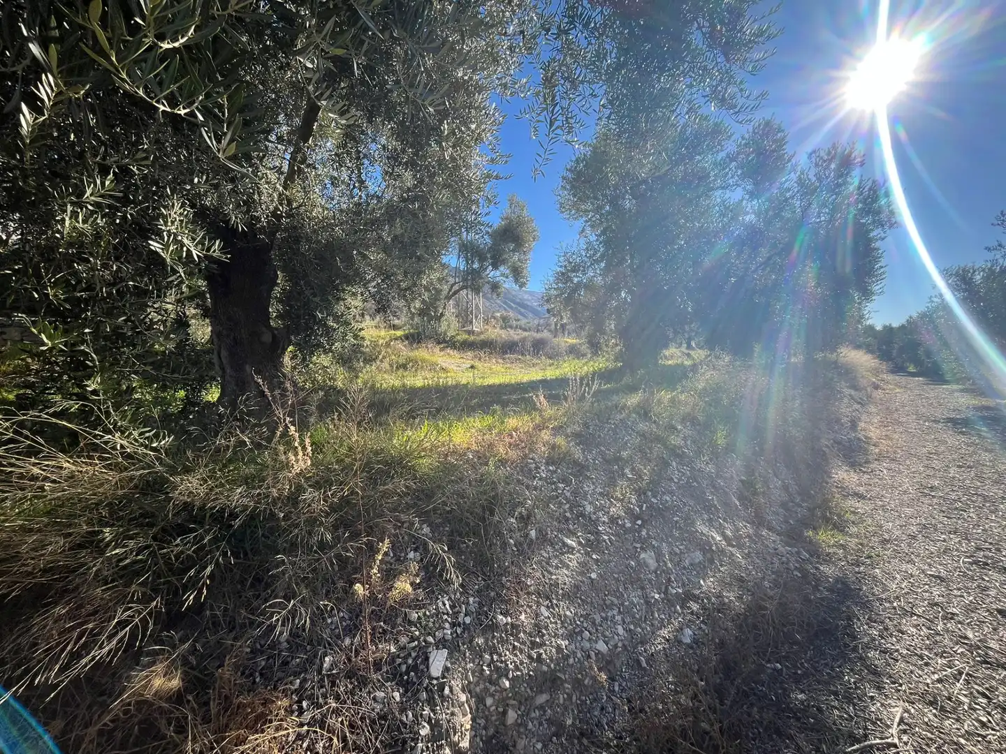 Rural land for sale in Calle Jose Saramago 2, imagen 9