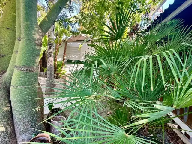 Chalet con piscina en venta en Poligono, imagen 44